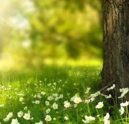 NEW PLANT IN SHANGHAI